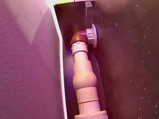 Voyeurcam-casa-salsa-fishtank  live sex cam