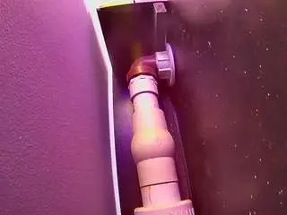 Voyeurcam-casa-salsa-fishtank  live sex cam
