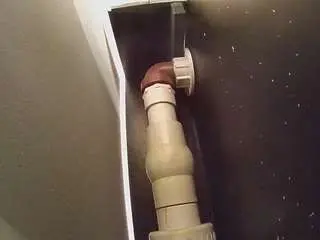 Voyeurcam-casa-salsa-fishtank  live sex cam