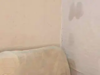 Tamylynn1  live sex cam