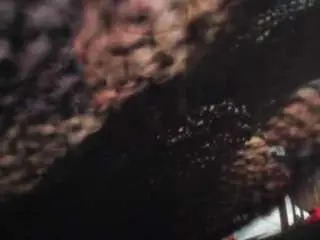 Sweetcupcaks  live sex cam