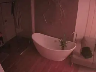 Voyeurcam-casa-salsa-bathroom-5  live sex cam