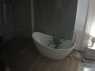 Voyeurcam-casa-salsa-bathroom-5  live sex cam