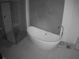 Voyeurcam-casa-salsa-bathroom-5  live sex cam
