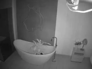 Voyeurcam-casa-salsa-bathroom-5  live sex cam
