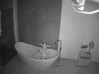Voyeurcam-casa-salsa-bathroom-5  live sex cam