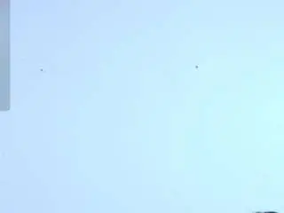 Venusnoirr  live sex cam
