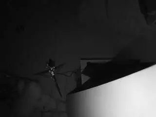 Voyeurcam-casa-salsa-bathroom-3  live sex cam