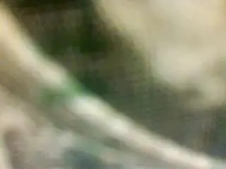 Stalliontheesavage  live sex cam