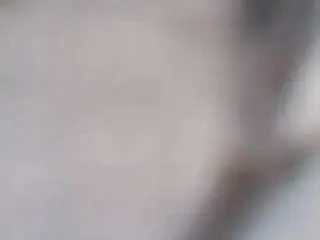 Stalliontheesavage  live sex cam