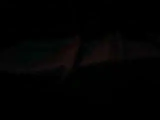 Kissmedoll  live sex cam