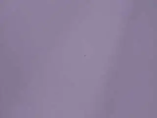 Layda-frodita  live sex cam