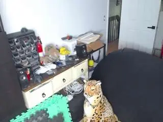 Amandahugnkiss  live sex cam