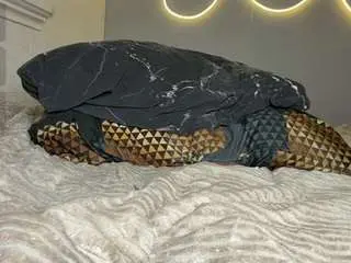Chloeromantic  live sex cam