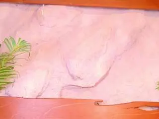 Molly-jackson  live sex cam