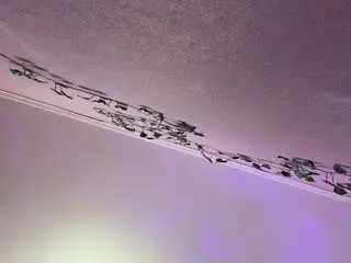 Tasiakoetz  live sex cam