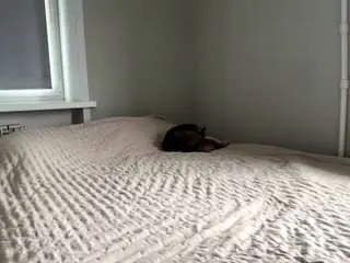 Karmaalmand  live sex cam