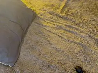 Arielgoulden  live sex cam