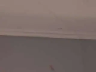 Geneviveginanni  live sex cam