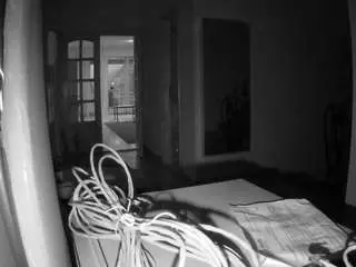 Voyeurcam-julmodels-hall-1st  live sex cam