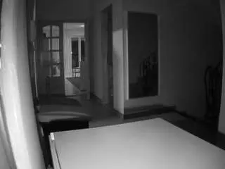 Voyeurcam-julmodels-hall-1st  live sex cam