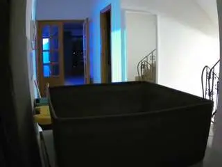 Voyeurcam-julmodels-hall-1st  live sex cam
