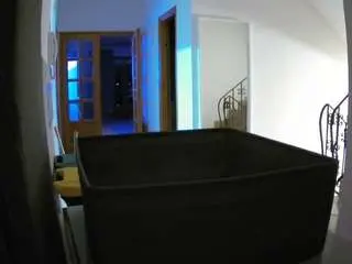 Voyeurcam-julmodels-hall-1st  live sex cam