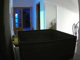 Voyeurcam-julmodels-hall-1st  live sex cam