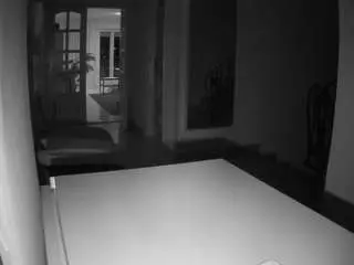 Voyeurcam-julmodels-hall-1st  live sex cam