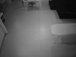 Voyeurcam-jb-room-1  live sex cam