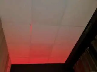 Adelenovak  live sex cam