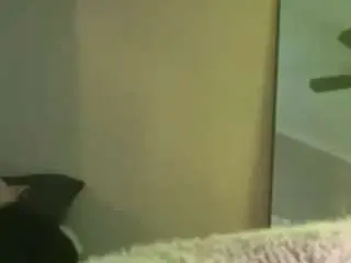 Jerseymay8  live sex cam