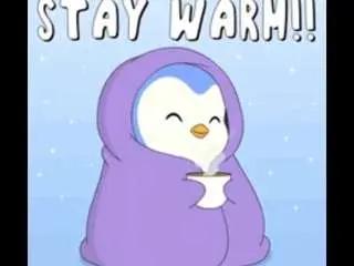 Salleytreusdell  live sex cam