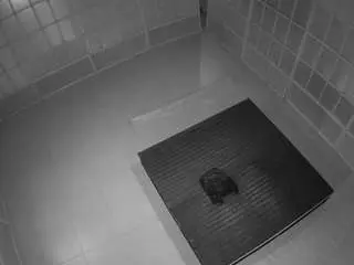 Voyeurcam-jb-room-5  live sex cam