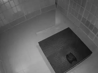 Voyeurcam-jb-room-5  live sex cam