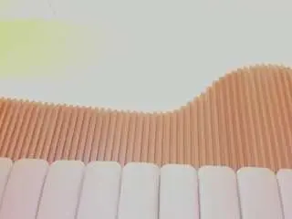Miadixon69  live sex cam