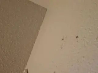 Misshouston  live sex cam