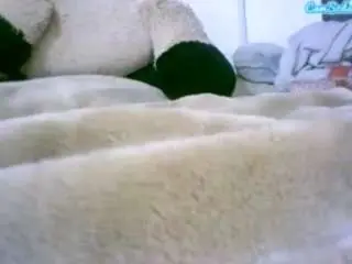 Katapuzzle  live sex cam