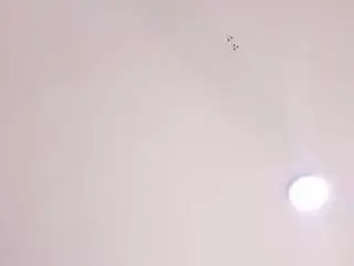 Navanycattan  live sex cam