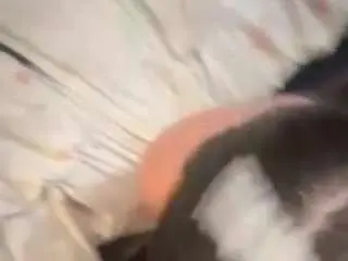 Junojade  live sex cam