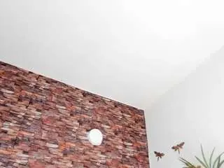 Evelynrousse  live sex cam