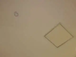 Christinavieri  live sex cam