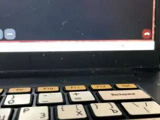 Sherlenecoonce  live sex cam