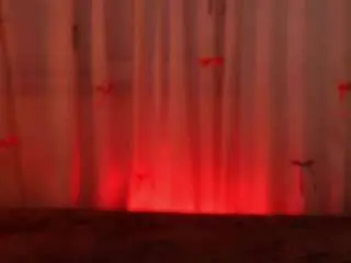 Liagotti  live sex cam