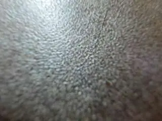 Camilawood  live sex cam
