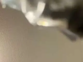 Wetpussy98  live sex cam