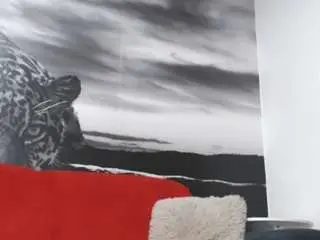 Andreeaboobs  live sex cam