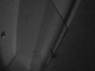 Voyeurcam-casa-salsa-bathroom-7  live sex cam