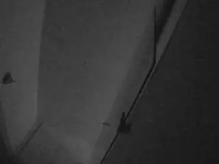 Voyeurcam-casa-salsa-bathroom-7  live sex cam