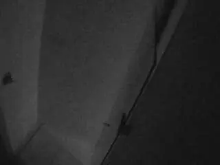 Voyeurcam-casa-salsa-bathroom-7  live sex cam